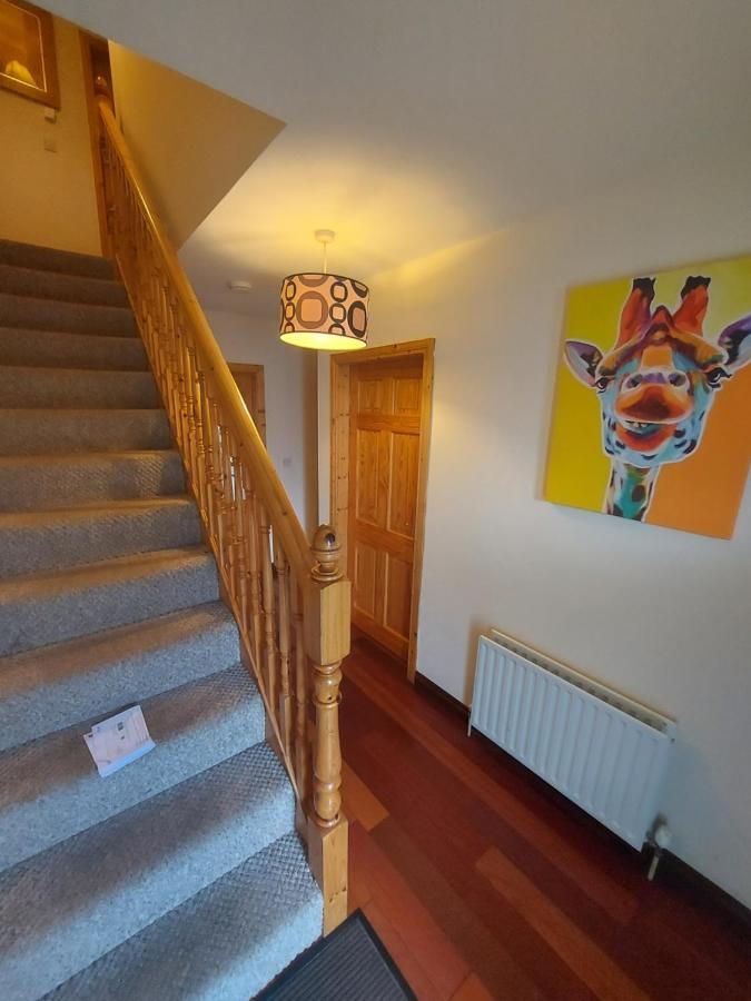 Village Lodge - Carlingford Kültér fotó